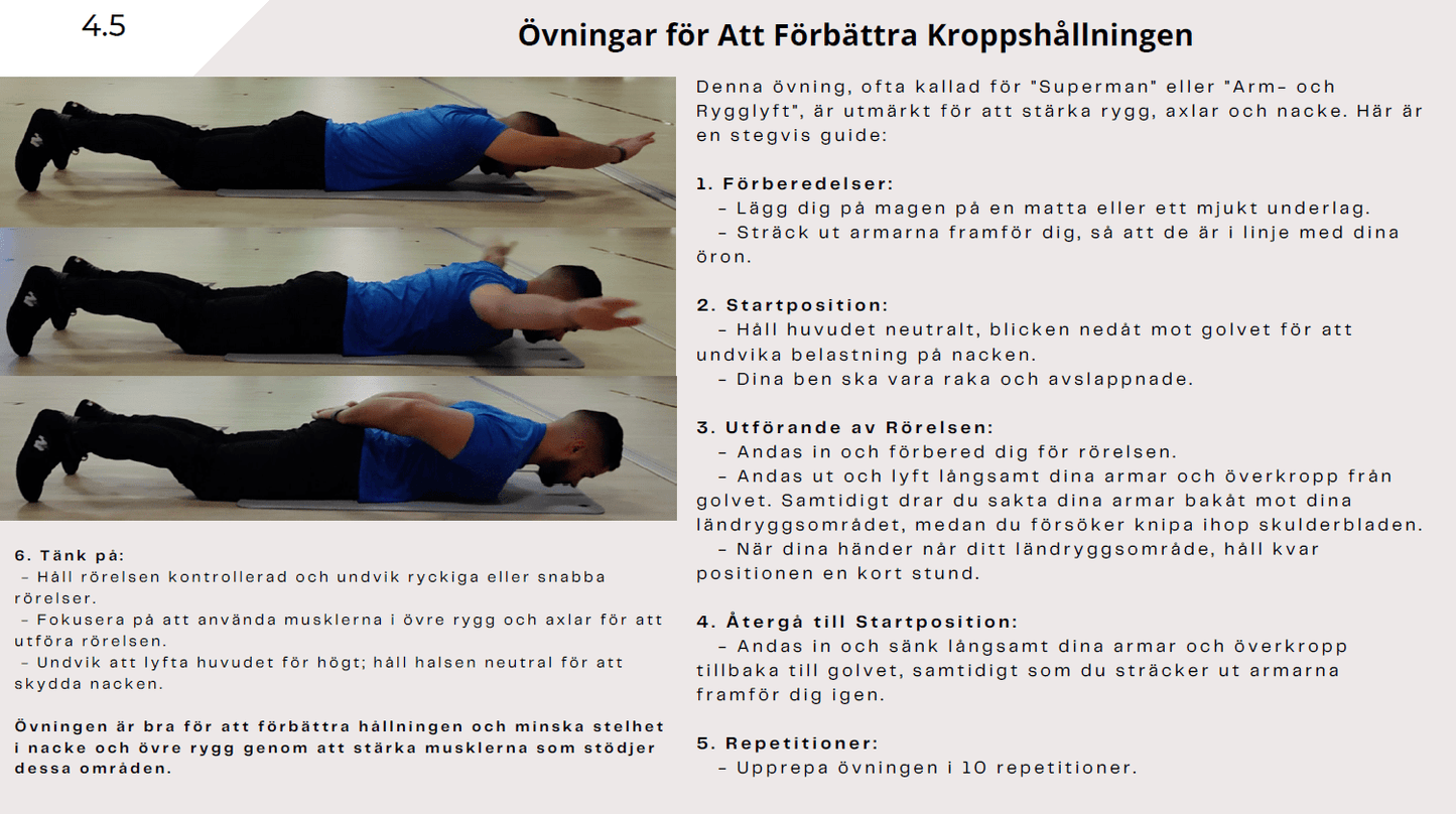 Förbättra Hållningen Guide PDF - Stabil Posture
